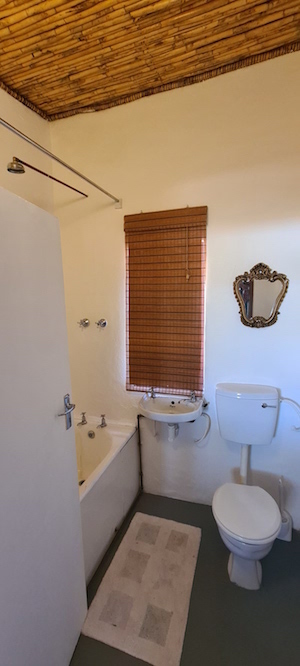 The Karoo Prinia ~ Prince Albert ~ Western Cape