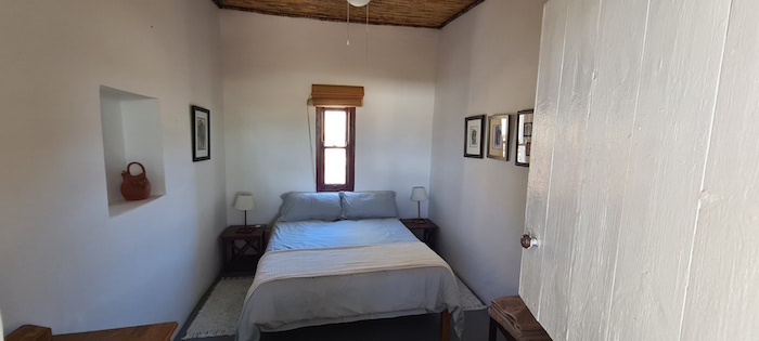 The Karoo Prinia ~ Prince Albert ~ Western Cape