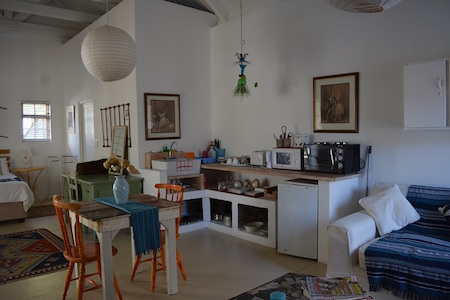 Baby Gecko at Gecko Self Catering Cottages~ Prince Albert ~ Western Cape ~ South Africa