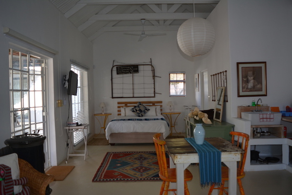 Baby Gecko at Gecko Self Catering Cottages~ Prince Albert ~ Western Cape ~ South Africa