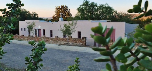 The Karoo Prinia ~ Prince Albert ~ Western Cape